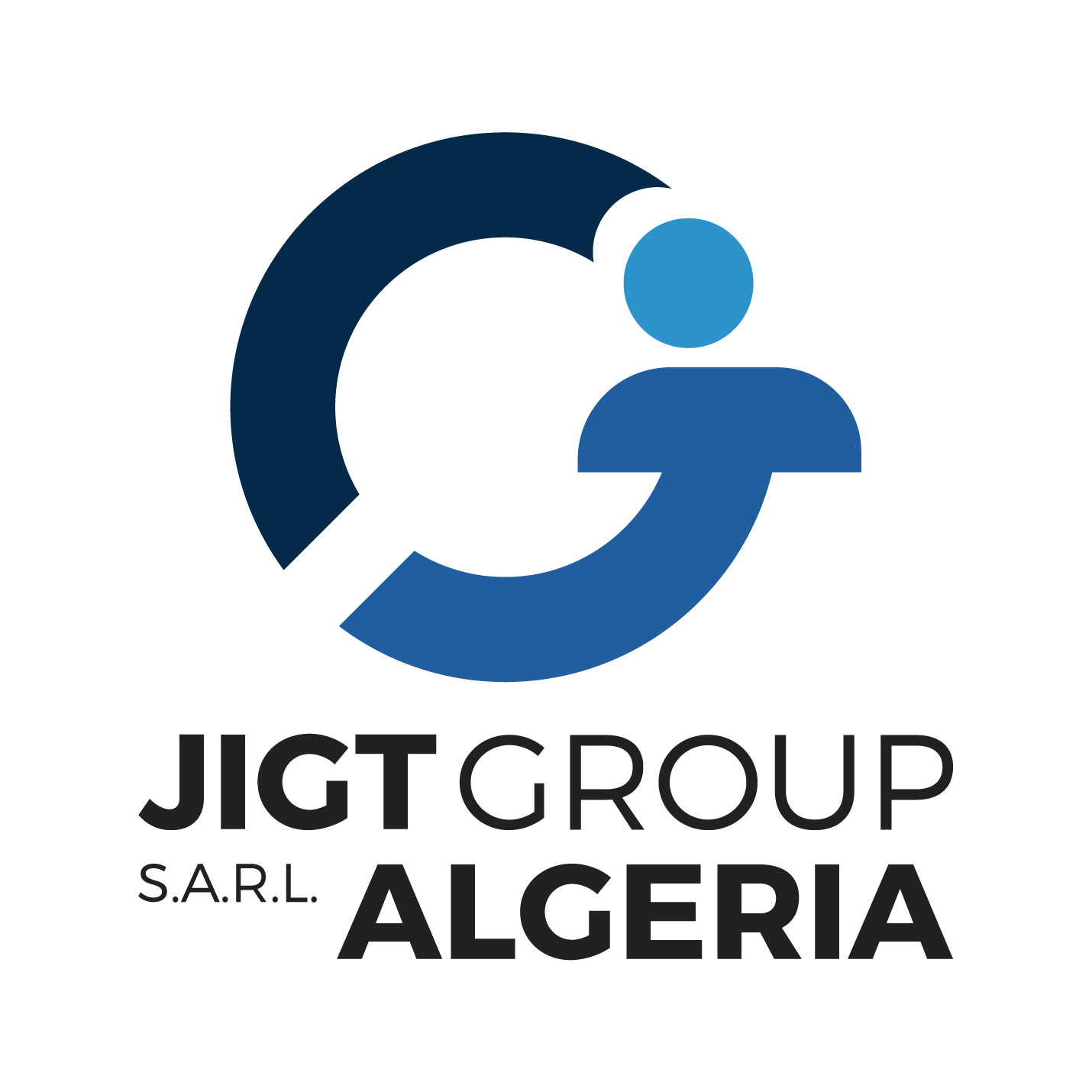 JIGT Logo V-WB - Copie