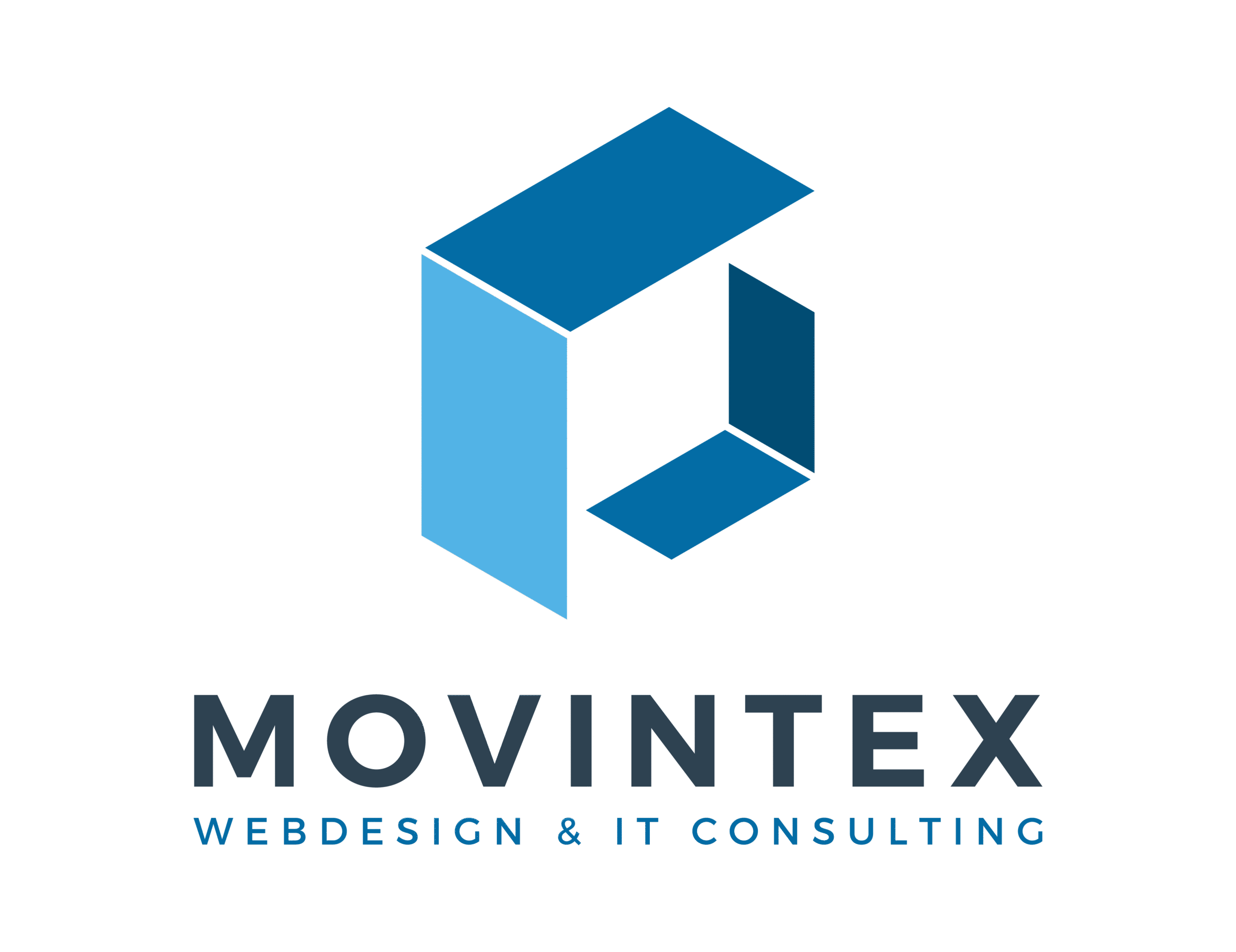 Movintex Logo V TRSP BG